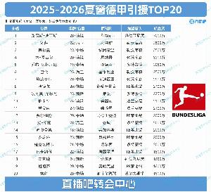 德甲夏窗TOP20：标王迪亚斯7000万断层领跑，药厂花2亿前7占5席