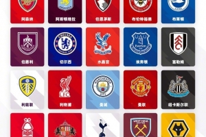 英超转会观察：金元狂潮背后套路多，阶层分化引人瞩目